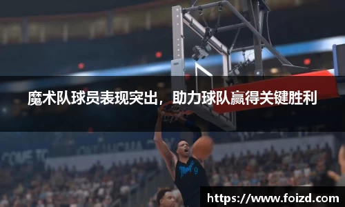 BB贝博艾佛森