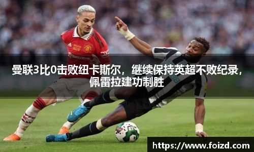 BB贝博登录入口