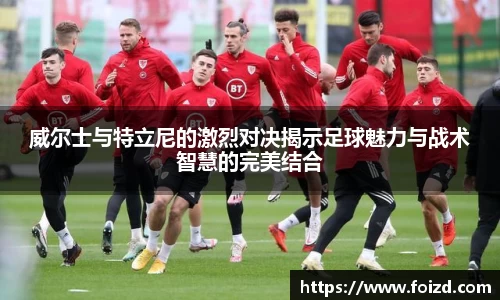 BB贝博