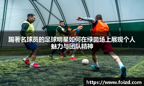 BB贝博登录入口