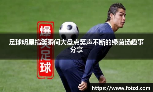 BB贝博登录入口