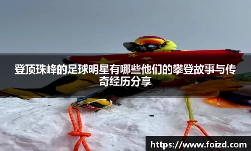 BB贝博登录入口